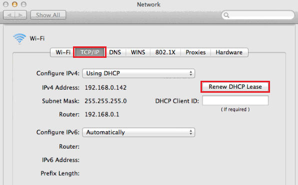 Mac TCP/IP reset 2